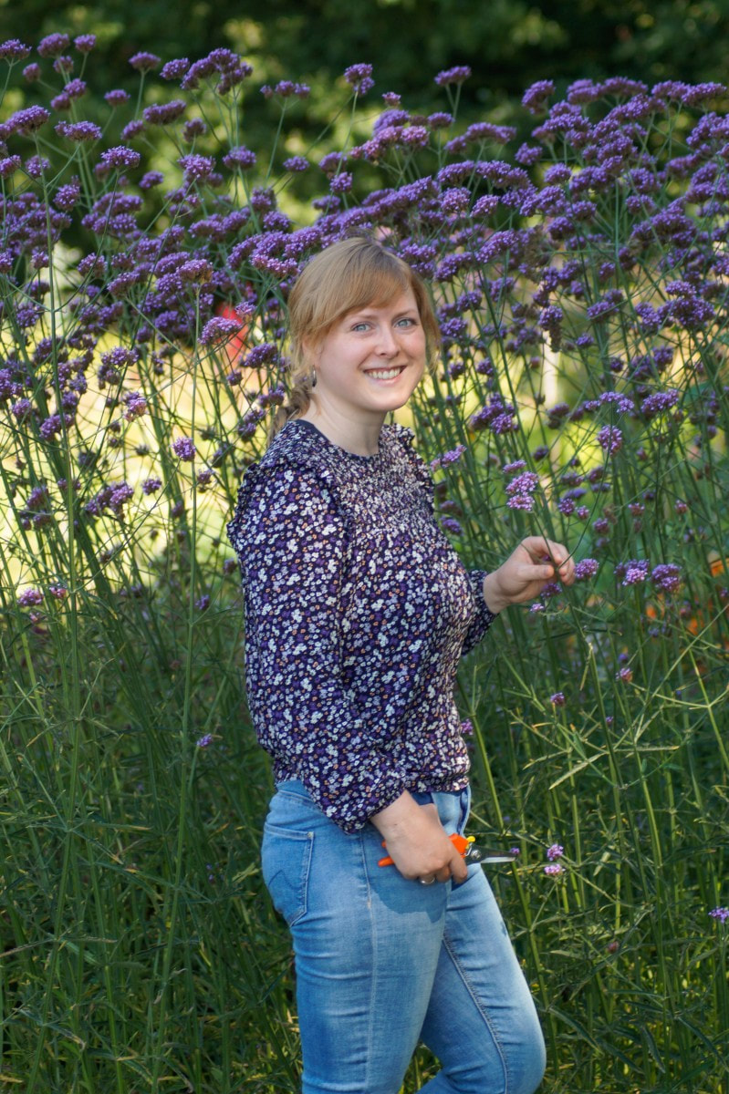 Katha auf Blumenfeld